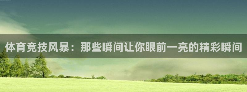 蓝鲸直播篮球：体育竞技风暴：那些瞬间让你眼前一亮的精彩瞬间